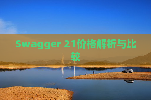 Swagger 21价格解析与比较